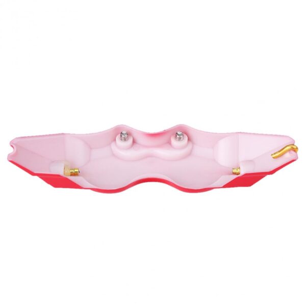 Set 2 ornamente pentru etrieri, marime L, culoare Rosie - imagine 7