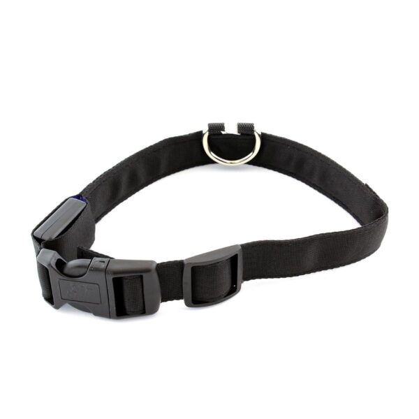 Zgarda iluminata cu LED pentru caine sau pisica, culoare Albastra, AVX-AG232A - imagine 2