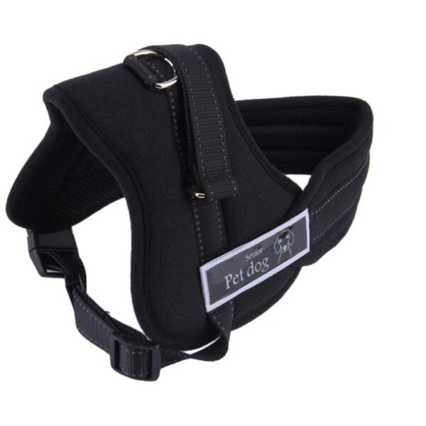 Ham pentru caini SENIOR DOG S (60 - 75cm) - imagine 3