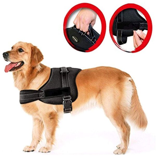 Ham pentru caini SENIOR DOG S (60 - 75cm) - imagine 5