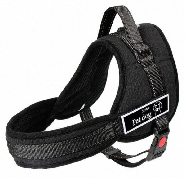 Ham pentru caini SENIOR DOG S (60 - 75cm) - imagine 2